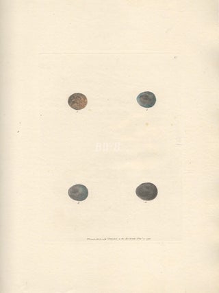 Item #618811 Eggs #3. William Lewin