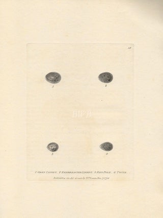Item #618812 Eggs #4. William Lewin